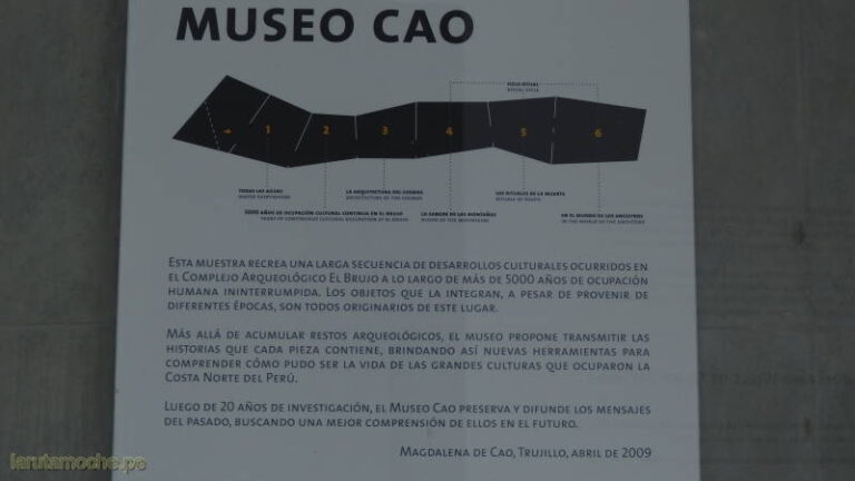 museocao 007